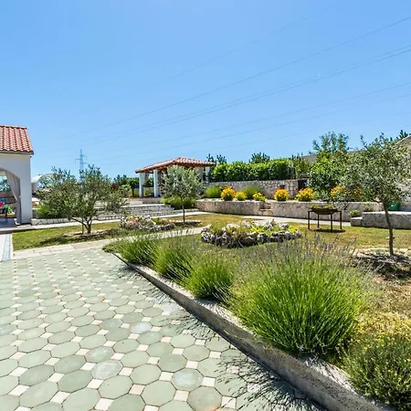 Marijan שיבניק